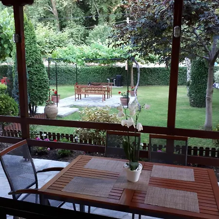 Palm House Holiday home